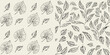 © Mithun - Delicate botanical illustration featuring various sketched leaves and foliage
