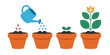 © FARUK - A colorful vector illustration of a potted plant growth stages on transparent background