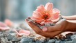 © MatiyashKo - Delicate female hands holding soft pink flower over rubble and dust, Hope blooming from the rubble, Beauty rising after destruction, Gentle hands holding new life, Rebirth held in caring hands