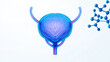© Hossain - Medical illustration of human female reproductive system with blue uterus and molecular structure transparent background