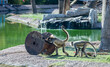 © Evgeniy - These images highlight the role of zoos in preserving biodiversity.