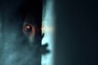 © Dmitry - Scary creature with glowing eyes peeking from dark corner. Ghostly monster hiding in shadows. Mysterious phantom watching. Horror, paranormal, thriller atmosphere for spooky concept.