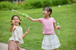 © Blue Jean Images - Two girls blowing bubbles in the park