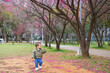 © leungchopan - Happy little baby boy enjoying sakura blossom park