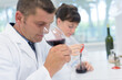 © auremar - tasters professional working into a cellar laboratory