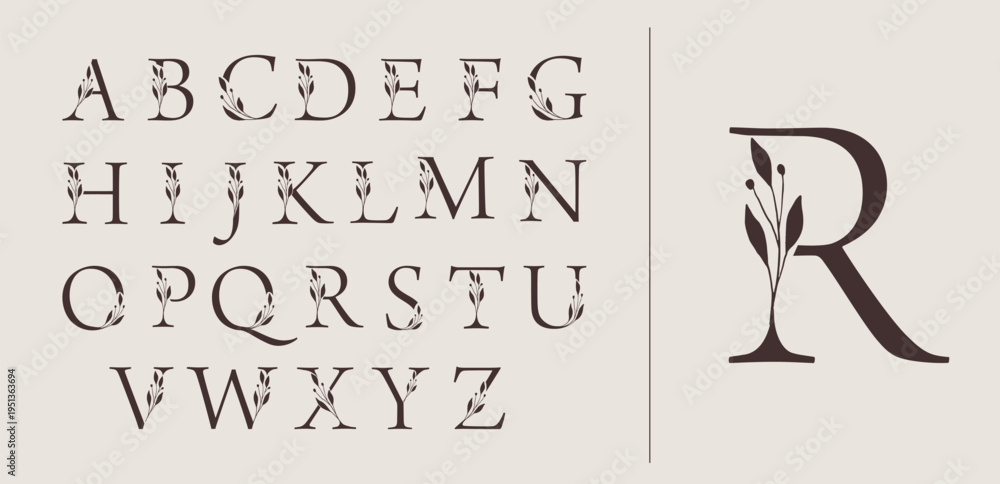 Botanical hand drawn alphabet letters collections for boutique logos ...