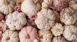 © DigitalDruid - Soft pastel pink autumn print with a neutral palette of white pumpkins and rustic watercolor flowers