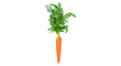 © Design Zone - Fresh baby carrots with green tops isolated PNG, bunch of orange root vegetables tied with twine on transparent background