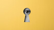 © HADI INCREDIBLE - A gray keyhole with a human eye looking through it set against a bright yellow background with a sense of curiosity and surveillance