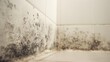 © Stella - Mold growth on bathroom tiles in corner with white background. Dark fungus growth.
