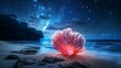 © Kobkaew - Illuminated coral reef discovery at night beach marine life scenic ocean view enchanted environment