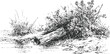 © Purple_Lamp - Natural landscape with log and bushes by a water edge, vintage ink drawing of rustic riverside scene