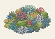 © LOBSTER LARRY - Colorful cartoon illustration of diverse lichen and moss species growing on rocks