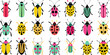 © Songita - A colorful collection of various stylized beetle illustrations on white