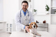 © New Africa - Smiling veterinarian in medical coat and glasses with stethoscope and cute dog at table in clinic