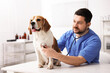© New Africa - Veterinarian in scrubs examining cute dog with stethoscope at light wooden table in clinic