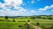 © Dara - A picturesque countryside landscape with a dirt road winding through lush green fields and meadows, under a clear blue sky with fluffy white clouds.