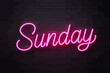 © vector house - neon pink Sunday sign on brick wall
