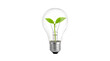 © HASSAN - Green plant growing inside light bulb eco energy and sustainability concept