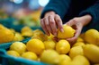 © Alex Photography - Close-up of hands choosing ripe lemons in a vibrant market setting, highlighting freshness and quality produce selection.