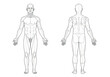 © vizual - Adult male anatomical figure in anterior and posterior views, minimalist black and white vector line art with dashed region lines on white medical reference concept