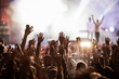 © Melinda Nagy - crowd at concert - summer music festival
