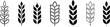 © Rizwat - Wheat icon set. Grain, wheat ear, cereal, whole grain, harvest, stalk. Rye ears flat and thin line style - stock vector. isolated on transparent background