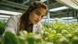 © kwanchaift - Young woman in white coat examining green lettuce plants in modern indoor farm with advanced lighting system for enhanced growth and sustainable agriculture practices.