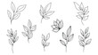 © Ajoy - Minimalist line drawing of various leafy plant branches and a flower on white background for creative design use
