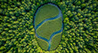 © Chamidu - Aerial River Forming Human Fingerprint Through Dense Green Forest Environmental Concept