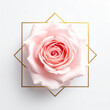 © Bediha Duru Öksüz - Pink damask rose centered within a golden geometric frame on a soft minimal background. Elegant floral composition ideal for luxury branding, wedding invitations and beauty concepts.