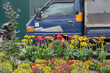 © Hanoi Photography - Brightly colored flowers arranged along a roadside with a parked truck behind, showing street-side floral trade during the Tet holiday season in Vietnam.