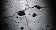 © 101 - Gritty black and white texture of a cracked and pitted concrete wall.