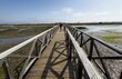 © Angelov - Wooden boardwalk stretching through coastal marshland and grassy dunes, surrounded by tall reeds and natural vegetation under a softly clouded sky,
