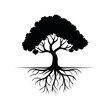 © Anastasiia - Bold Silhouette of a Mature Tree with Extensive Root System Symbolizing Growth and Stability