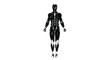 © Shahzad - Black human body anatomy illustration with visible skeleton and muscles in full body pose on white background for medical or educational use