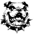 © SilhouetteStudioArt - A bulldog with an aggressive expression