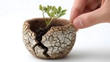 A hand gently touches a small green plant growing out of a cracked and dry pot