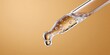 © NovaVision - Close-up of a glass dropper with clear liquid and air bubbles against a warm, soft background