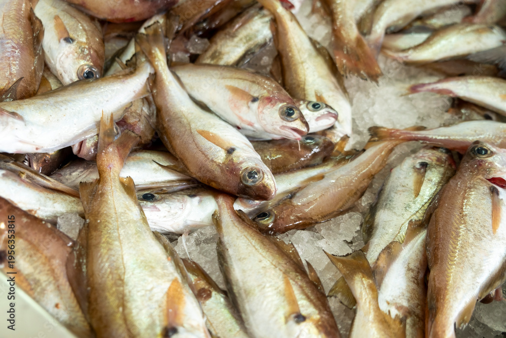 Fresh whiting fish on crushed ice at a seafood market The Concept of ...