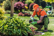 © Tomasz Zajda - Gardener Works on Plants in a Green Park During Daylight