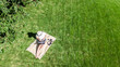 © Iuliia Sokolovska - Woman with laptop and headphones relaxing and working in a park, digital nomad girl working outdoors on summer, student studying in park, aerial drone view