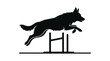 © Hossam - Dynamic black silhouette of a dog jumping over an agility obstacle during training, showcasing athleticism, focus, and canine sportsmanship.