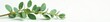 © Busban - Delicate eucalyptus branches on pure white backdrop Inviting aromatherapy scene , aesthetic, minimalism, white