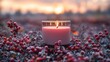 © Andy - Lit candle on red berries, dusk light