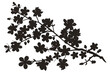 © Md.  Al-Amin - A detailed dark silhouette of a flowering branch featuring numerous delicate blossoms on a stem