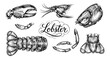 © 123levit - Detailed hand-drawn illustration of various lobster body parts and the word lobster