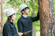© buritora - Forest maintenance workers (arborists) who survey, inspect, check, maintain, and conserve trees in forests.