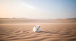 ©  calculator - A white cat sitting alone in desert.