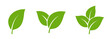 © MR Vector - Green Leaf icon Set, Minimal Nature Plant leaves Logo Collection, Modern Symbol Set of Single one, two and three Fresh Organic Leaves Vector isolated on Transparent Png White background
